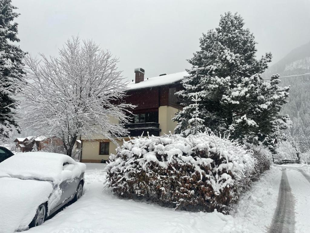 Haus Karin Мальниц Экстерьер фото