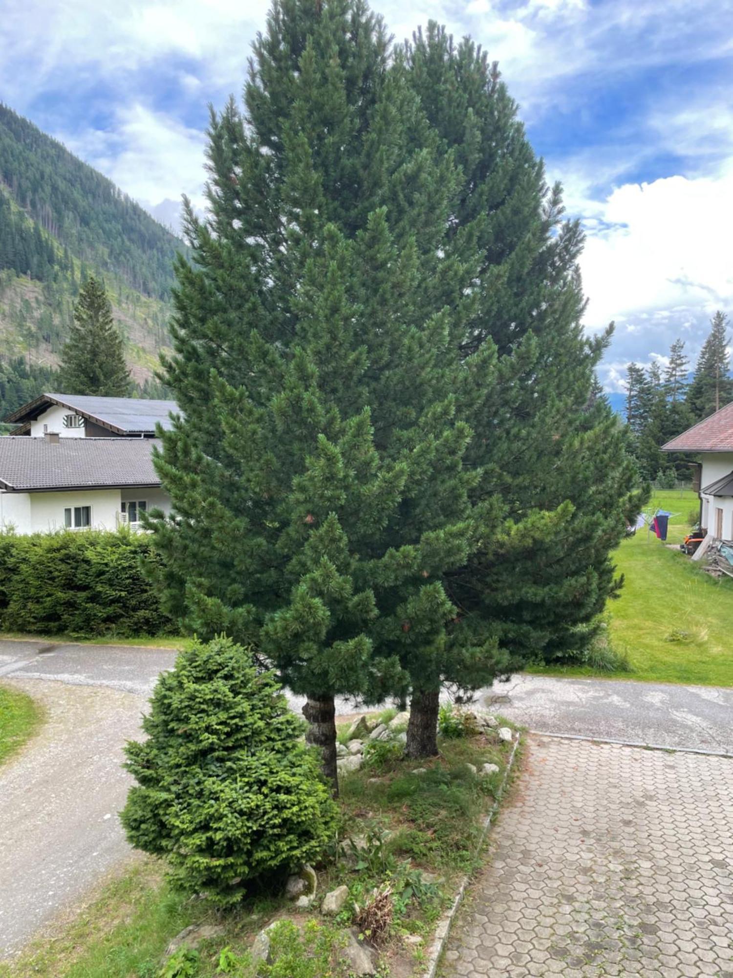 Haus Karin Мальниц Экстерьер фото